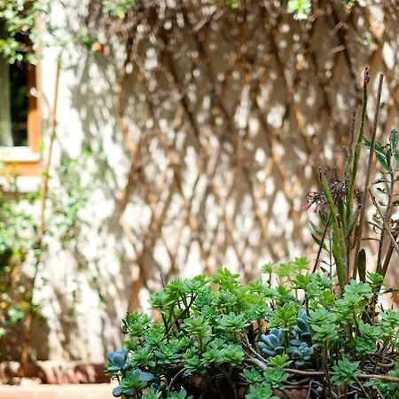 アパート La Casa Di Aldo フィレンツェ